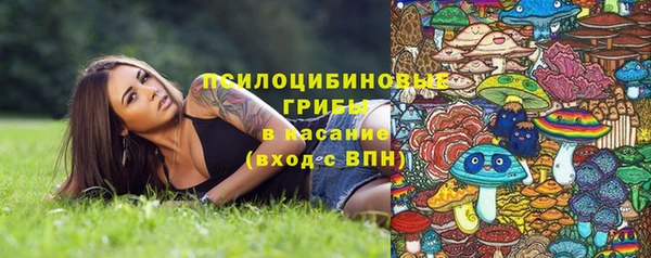 эйфоретик Алексеевка