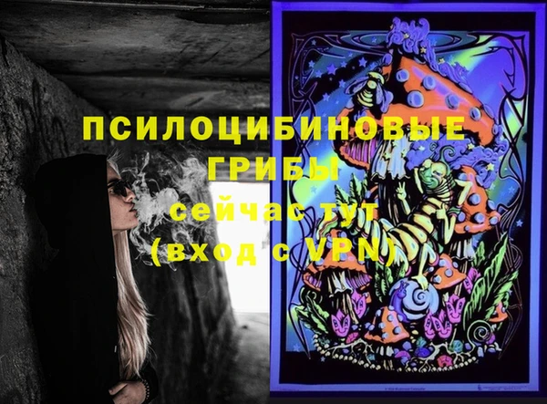 спайс Алексин