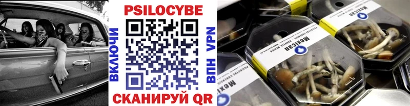 Галлюциногенные грибы GOLDEN TEACHER  где продают   Спас-Клепики 
