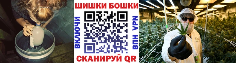 Бошки марихуана Ganja MEGA онион Спас-Клепики